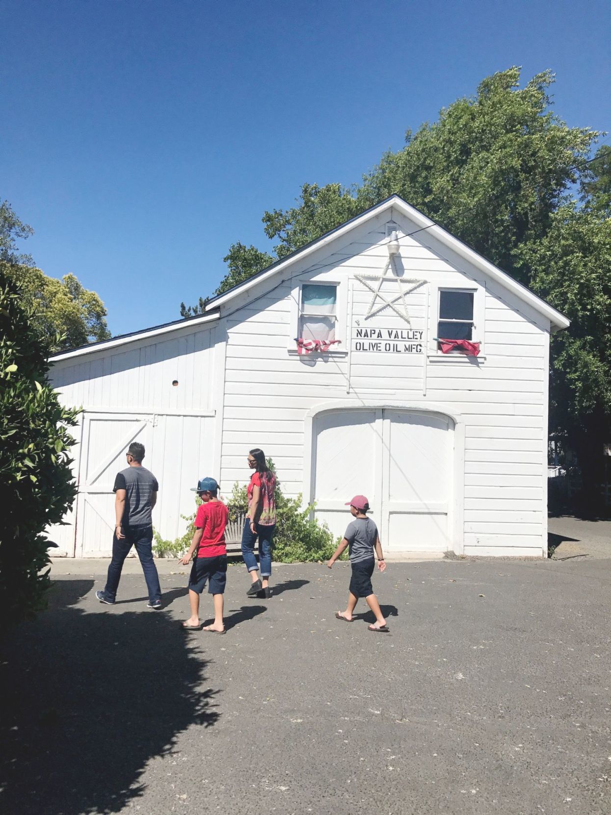 Napa Valley Olive Oil Manufacturing Company
